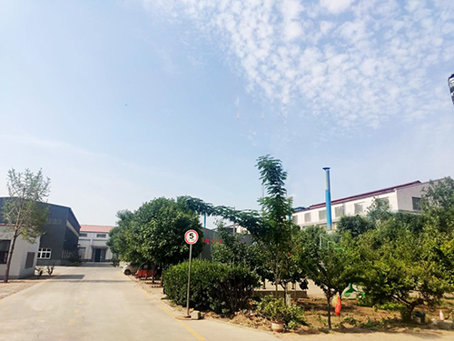 公司场景