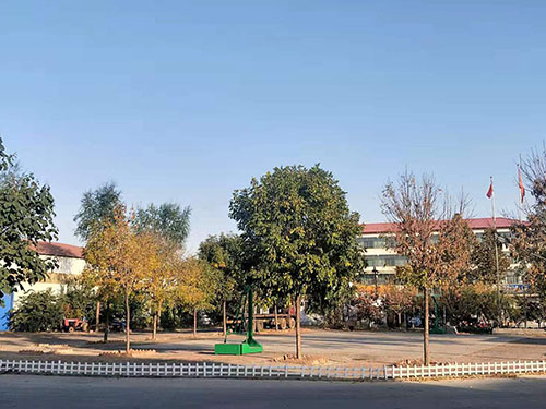 公司外景11